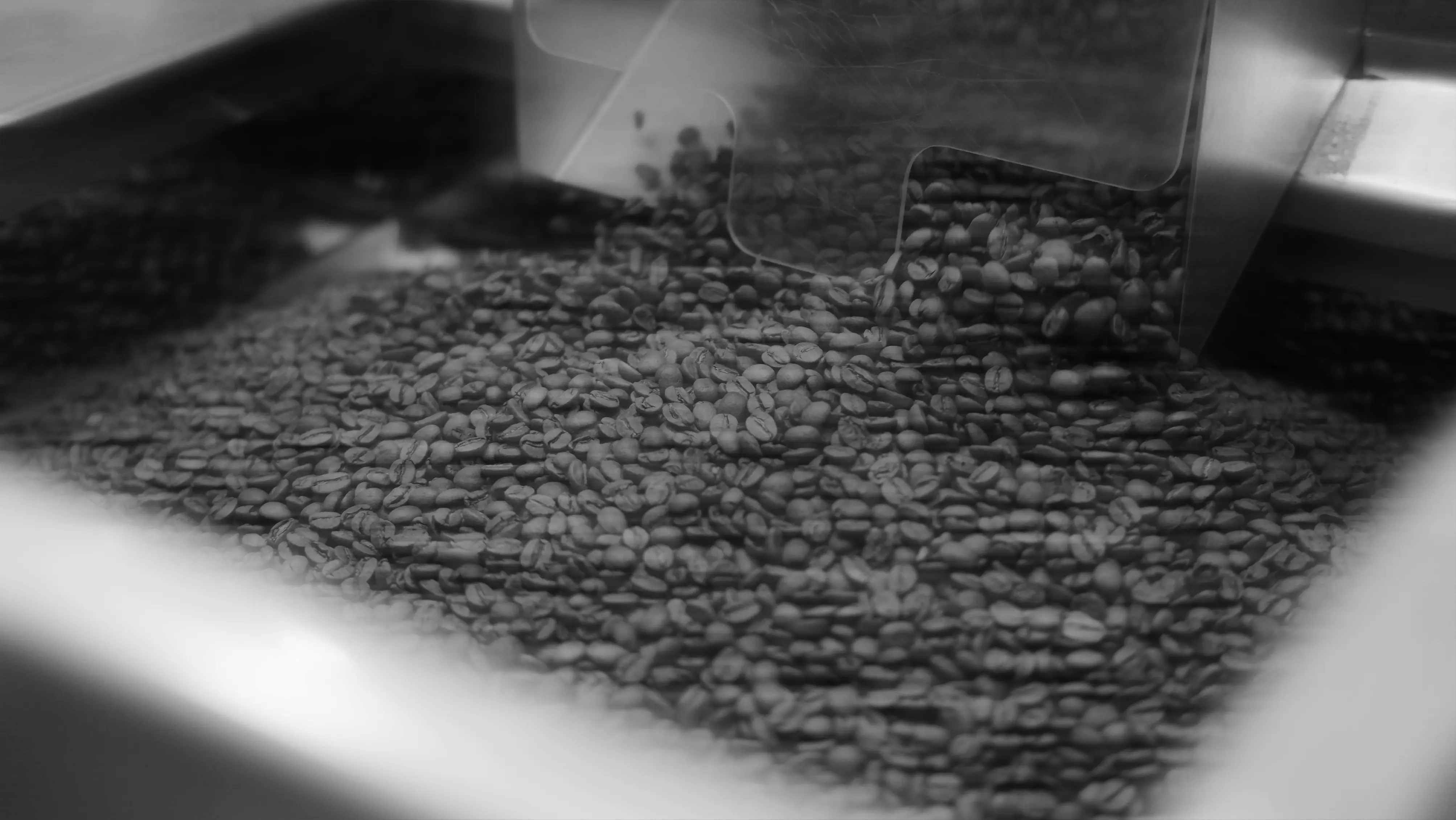 россыпь кофейных зерен