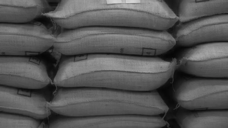 Процесс очистки кофейных зерен