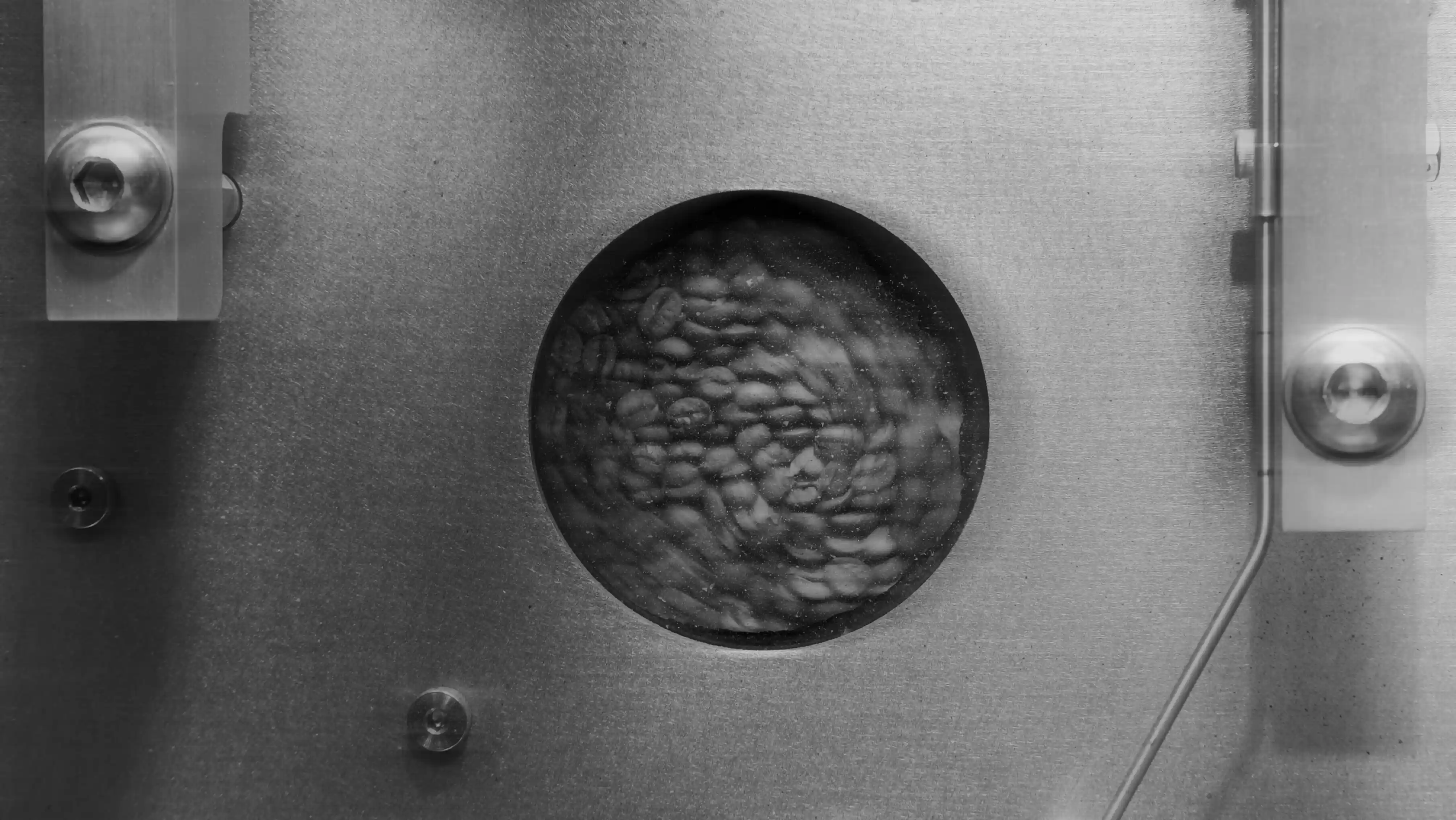 Наблюдаем за временем развития зерна